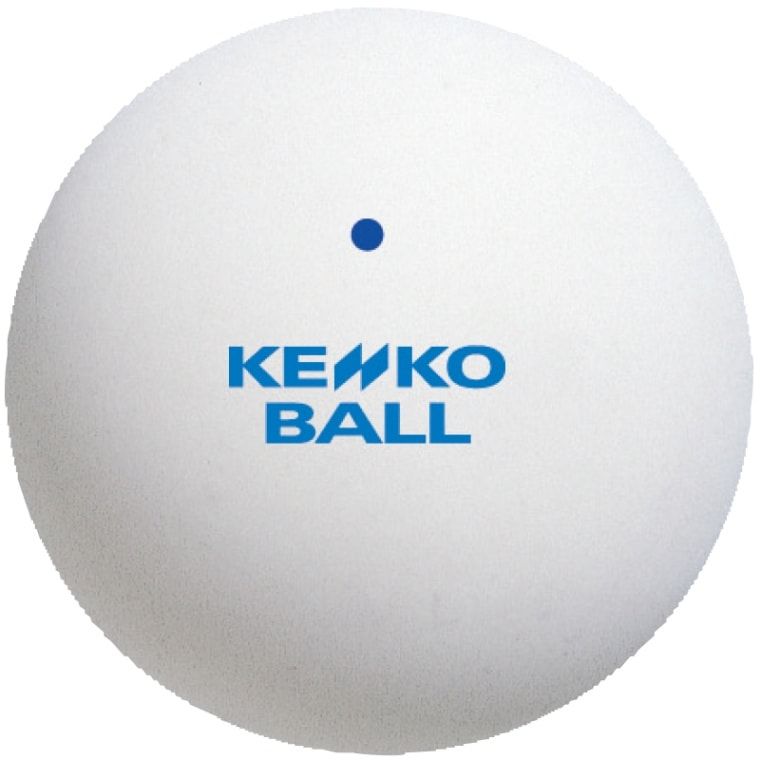Piłki treningowe Kenko Standard – białe